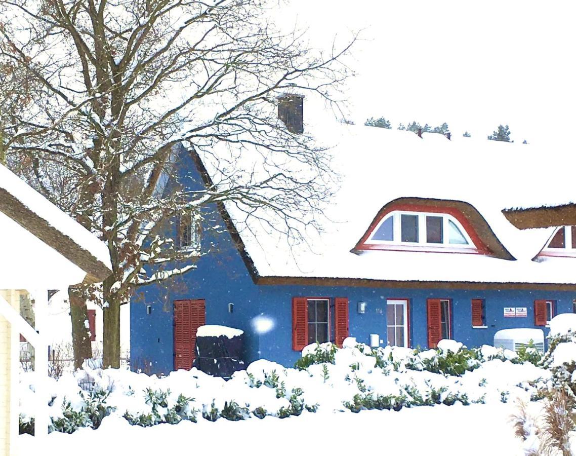 Strandhaus Lucky, Sauna, Garten, Kamin, Strandnah Glowe Buitenkant foto